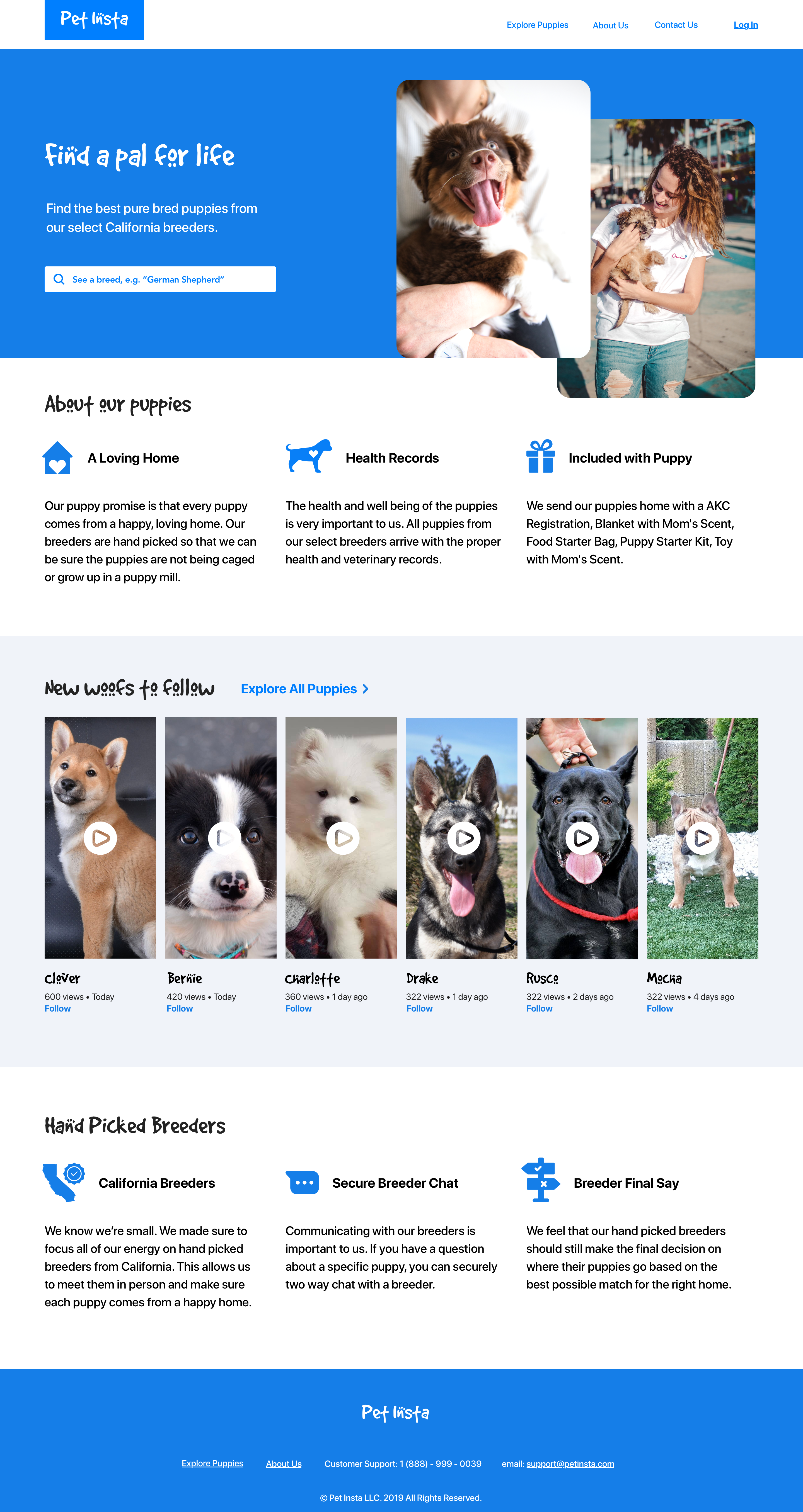 PetInsta product detail